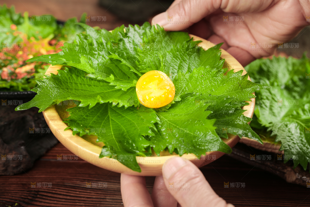 手拿一碟紫苏叶