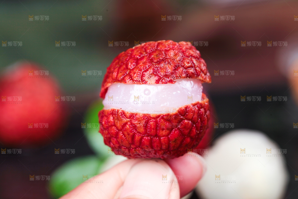 手拿新鲜荔枝