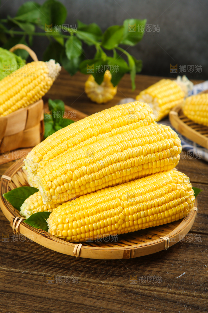 玉米