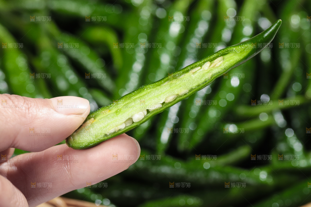手拿切开的青米椒