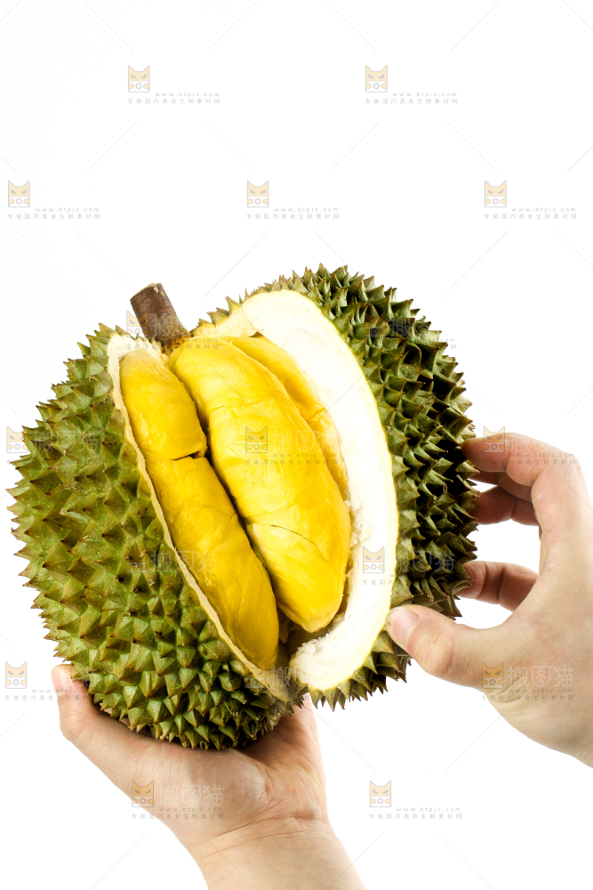 白底上摆放着甲仑榴莲
