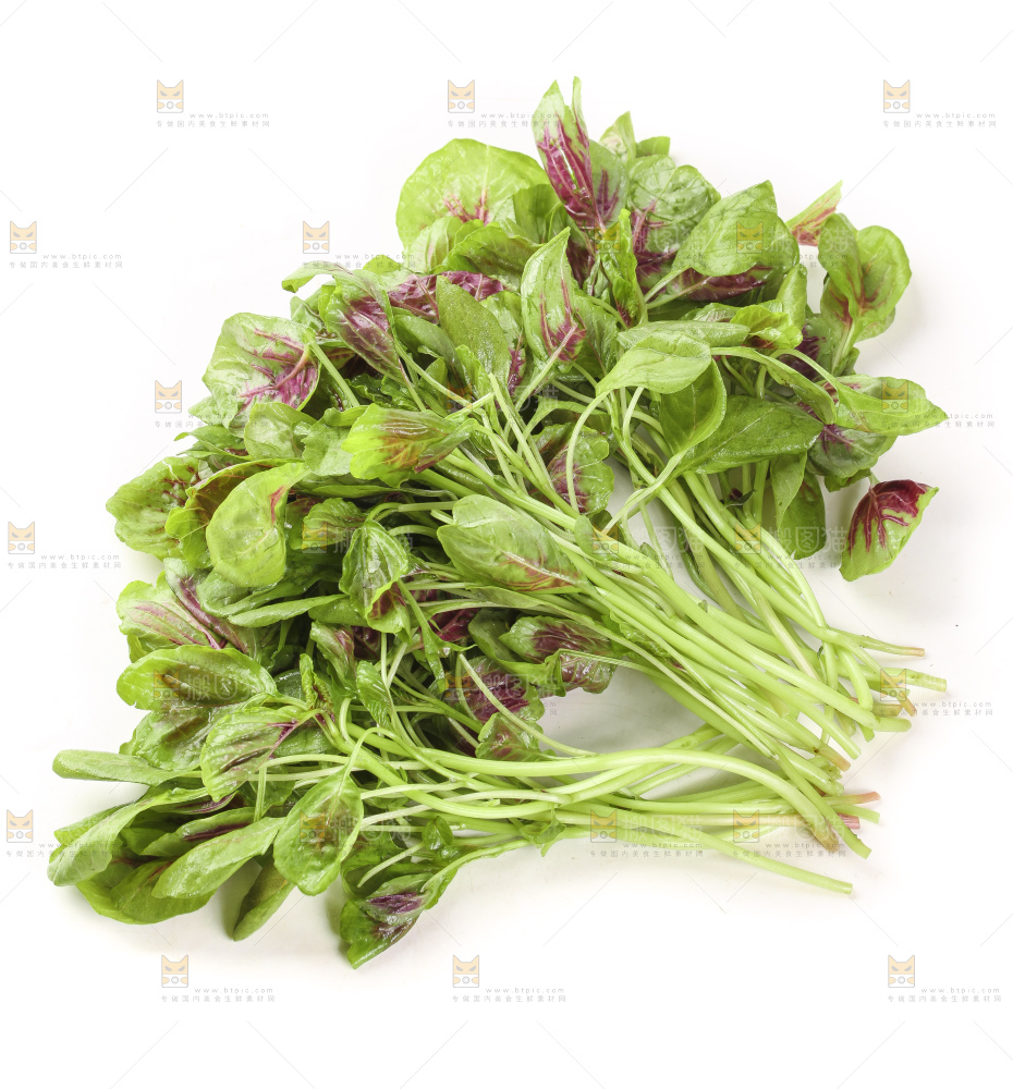 白底上的农家苋菜