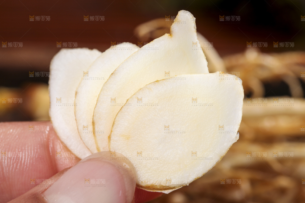 手拿人参切片