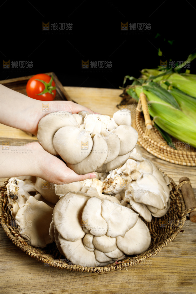 手拿新鲜平菇