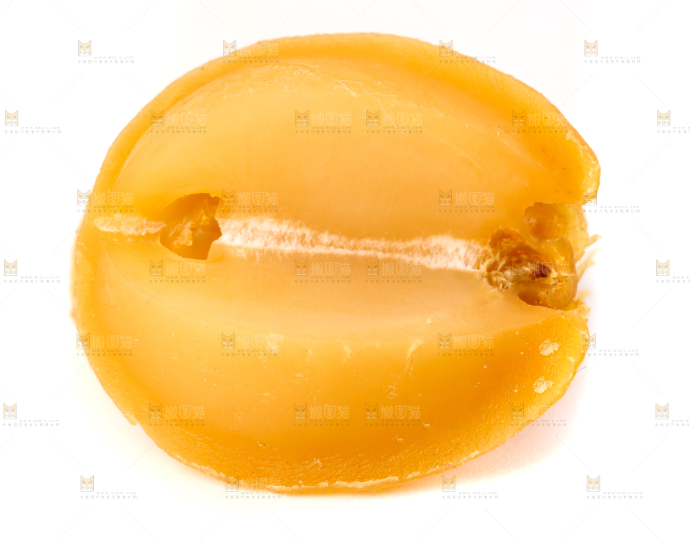 白底上的鲍鱼干