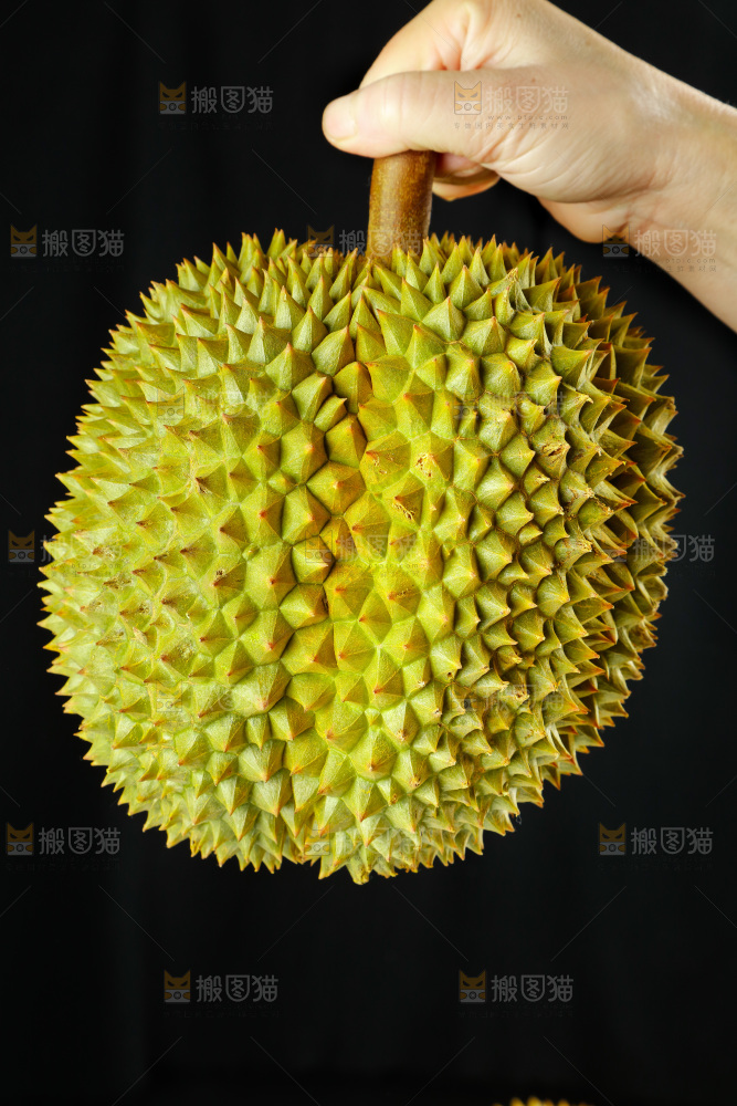 手里拿着进口甲仑榴莲