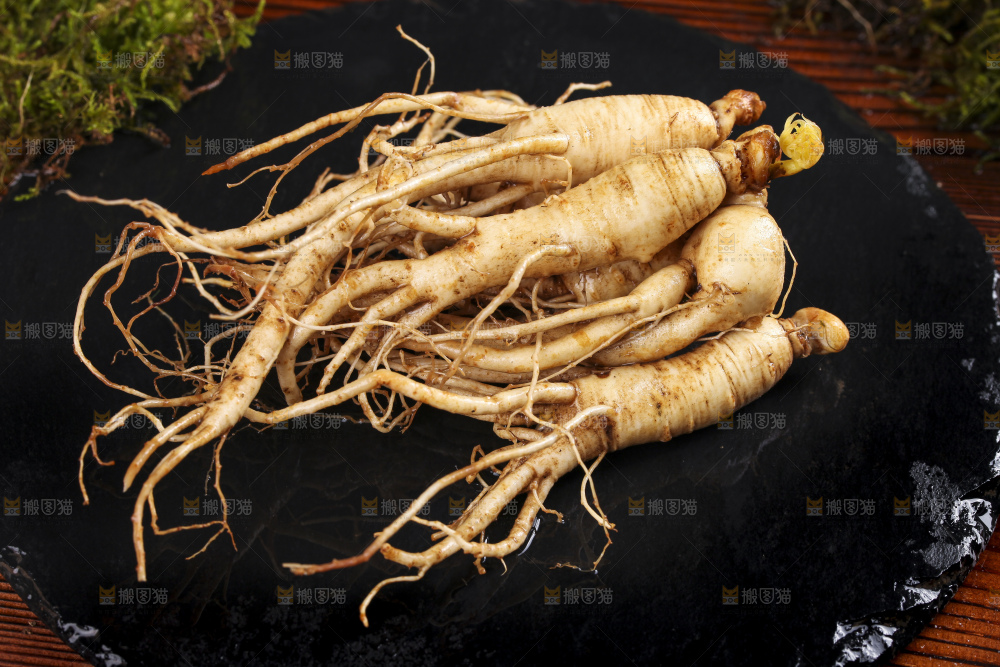 黑石板上的野生人参
