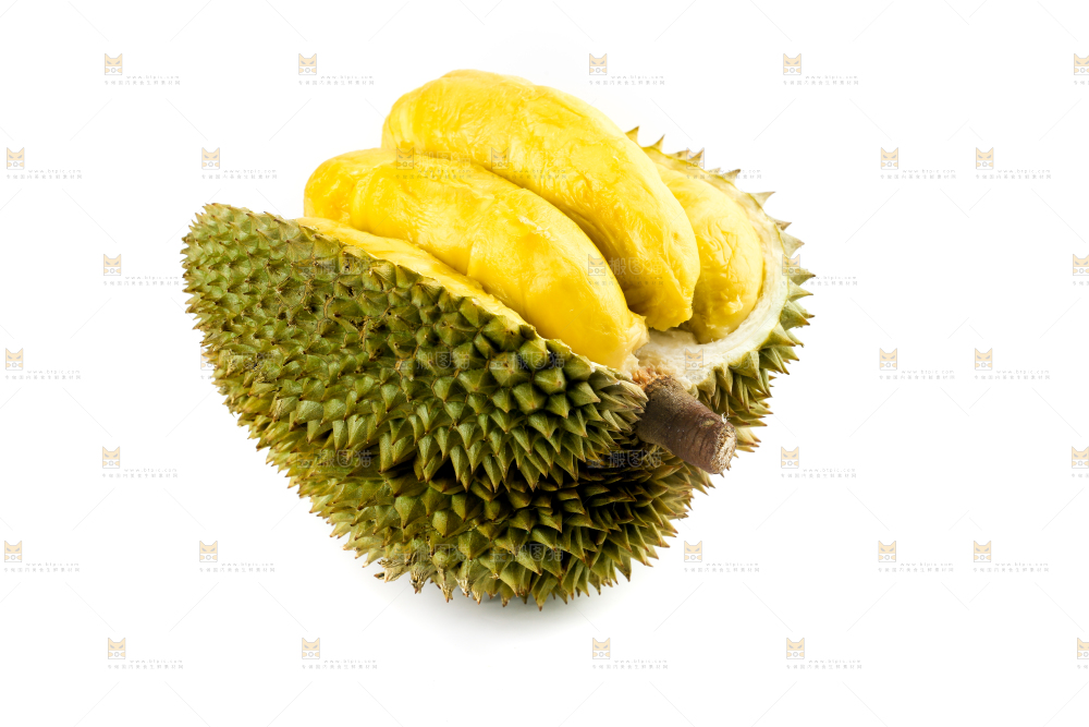 甲仑榴莲