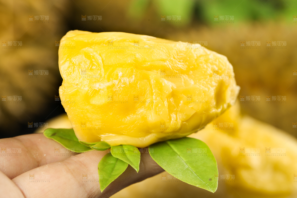 木板上的泰国甲仑榴莲