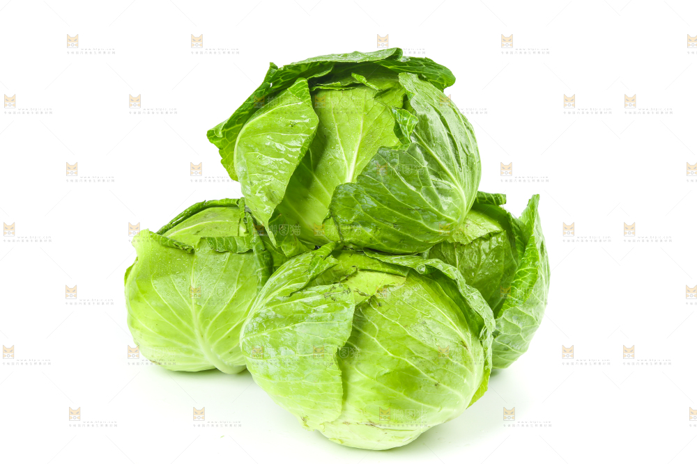新鲜的卷心菜放在白底上