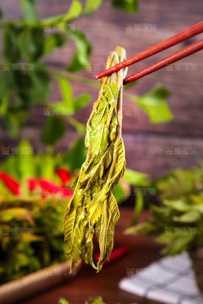 筷子夹着香椿芽