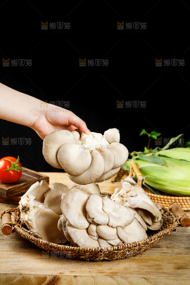 手拿新鲜平菇