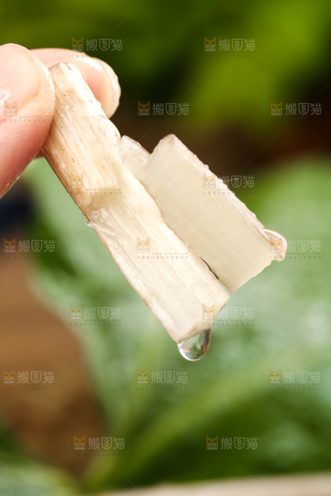 手里拿着新鲜藕带