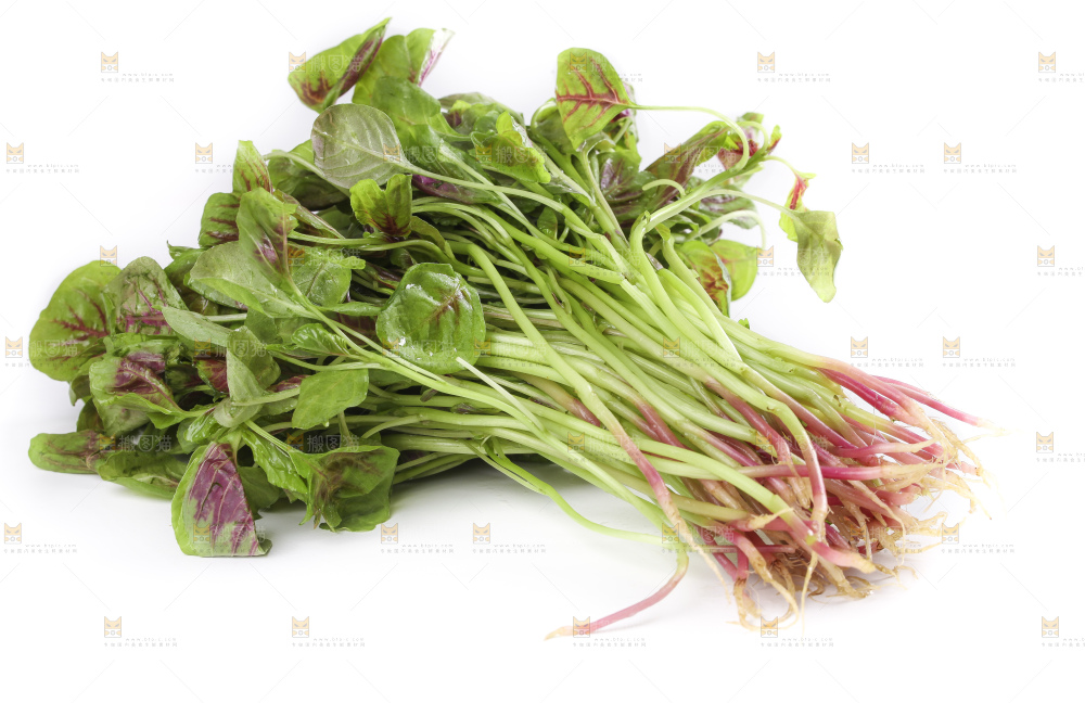 白底上的红苋菜