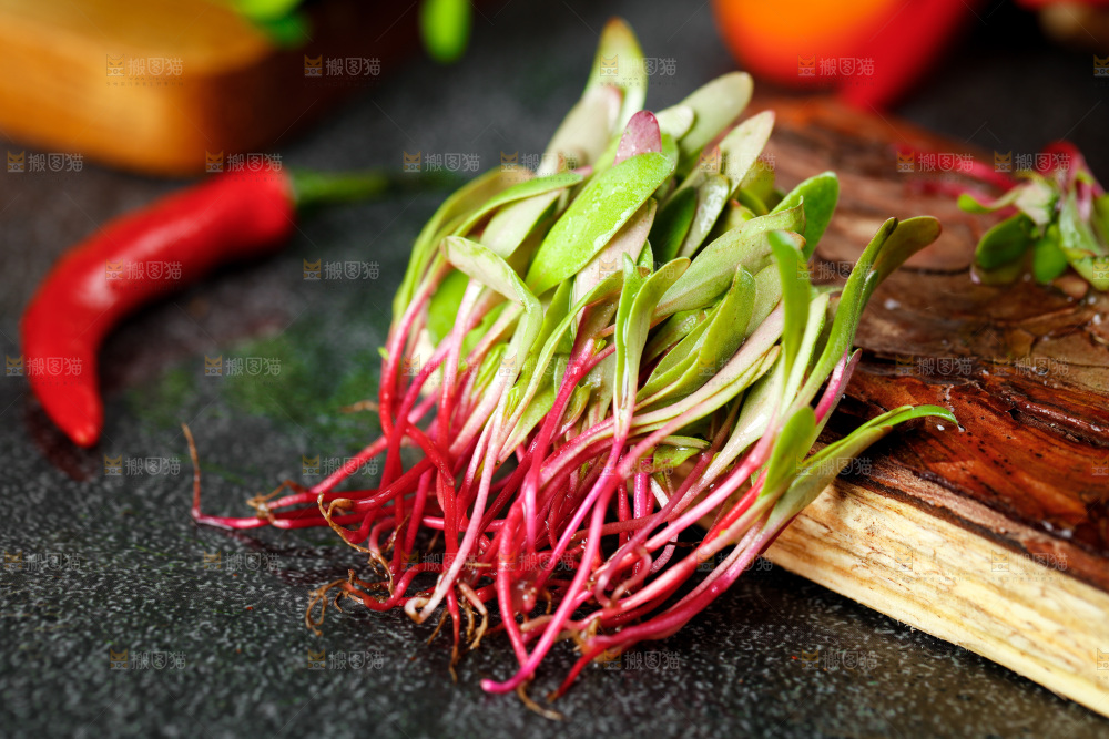 深底上的甜菜苗