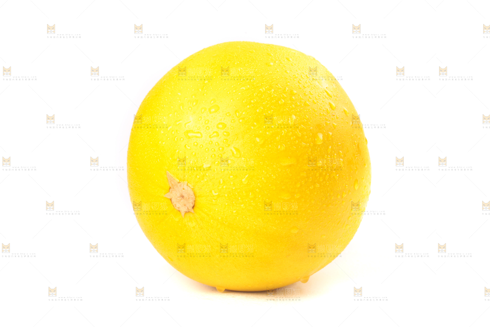 白底上的黄河蜜瓜
