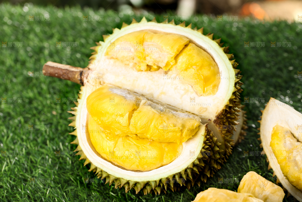 草地上摆放着甲仑榴莲