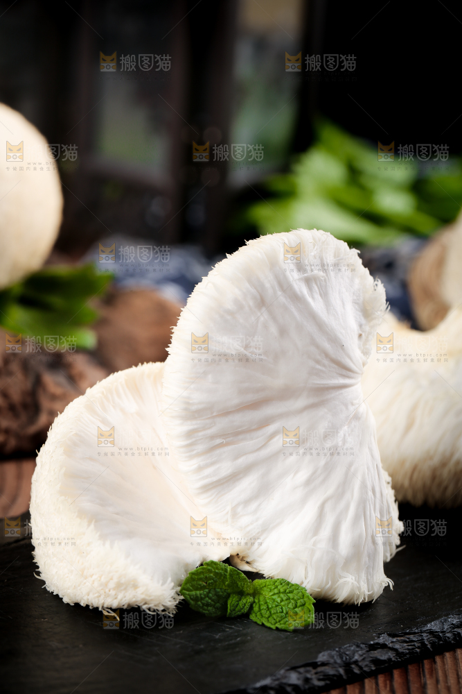 黑底上的猴头菇
