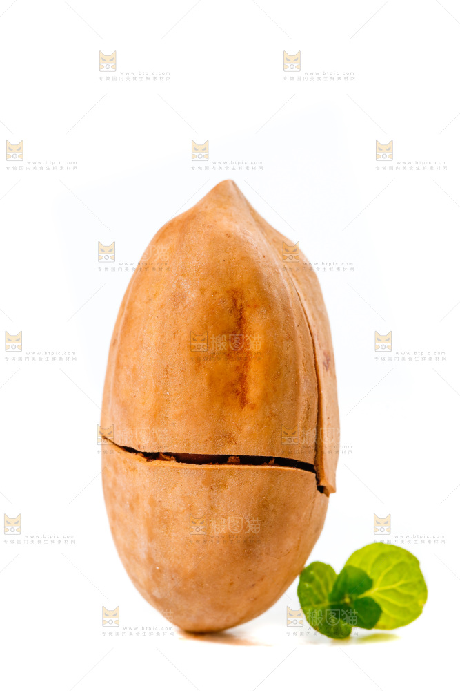 白底上的碧根果