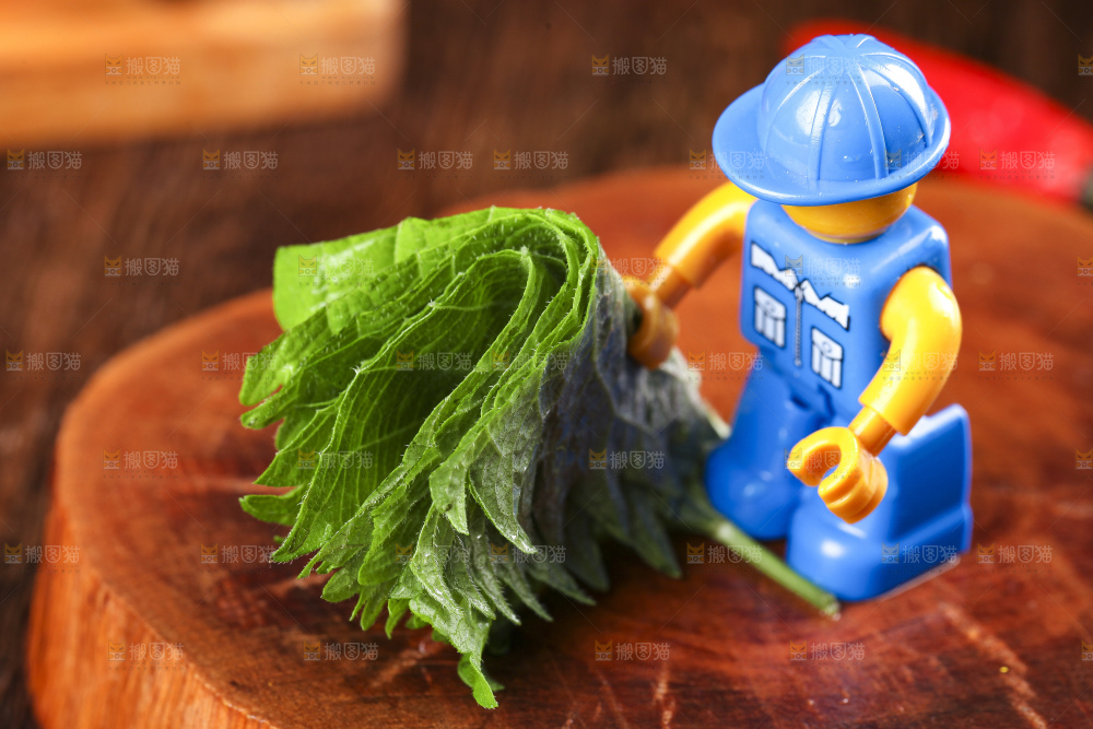 木底上的新鲜紫苏叶