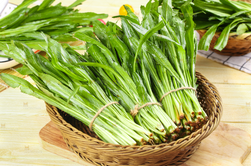 木底上放着一盘云南新鲜大香菜