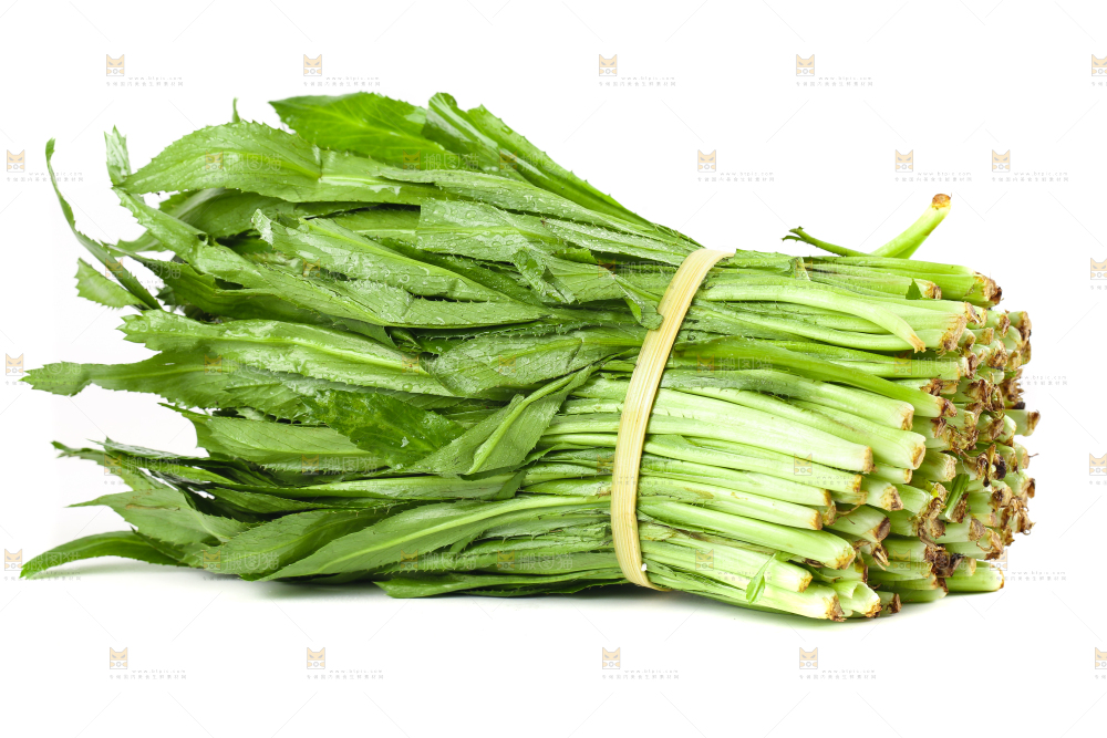 一捆云南大香菜放在白底上
