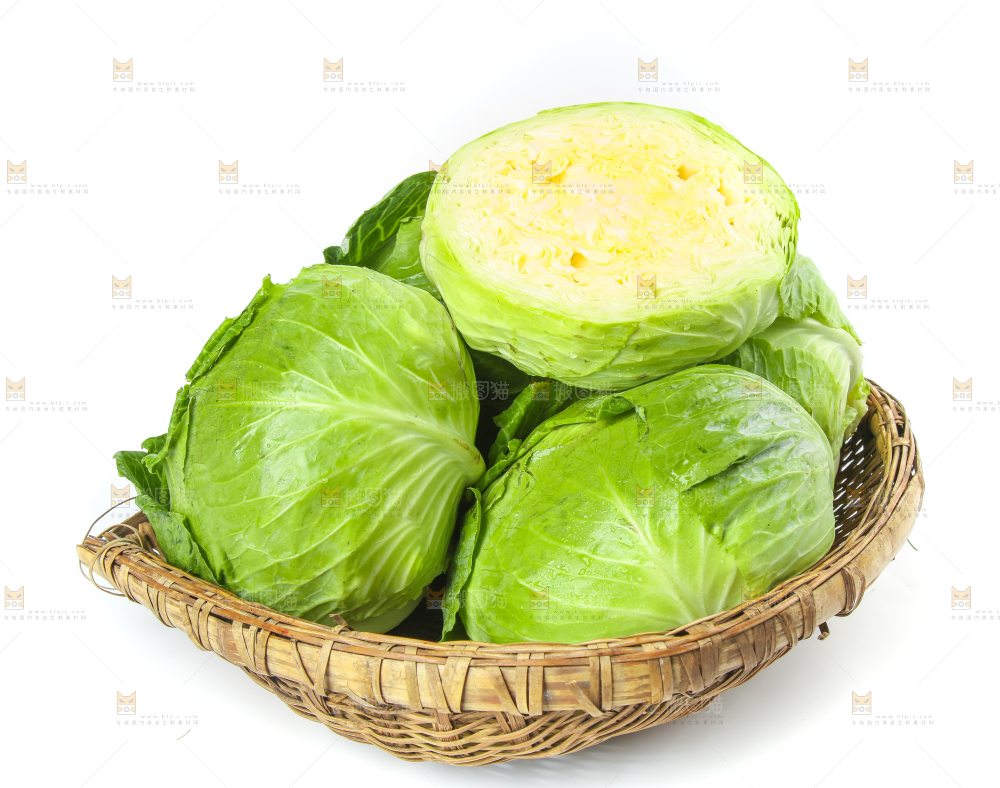 一筐新鲜包心菜放在白底上