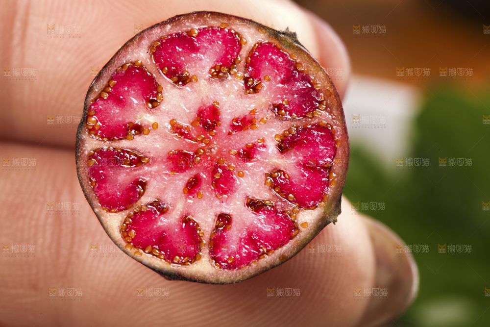 手拿切开的红果参