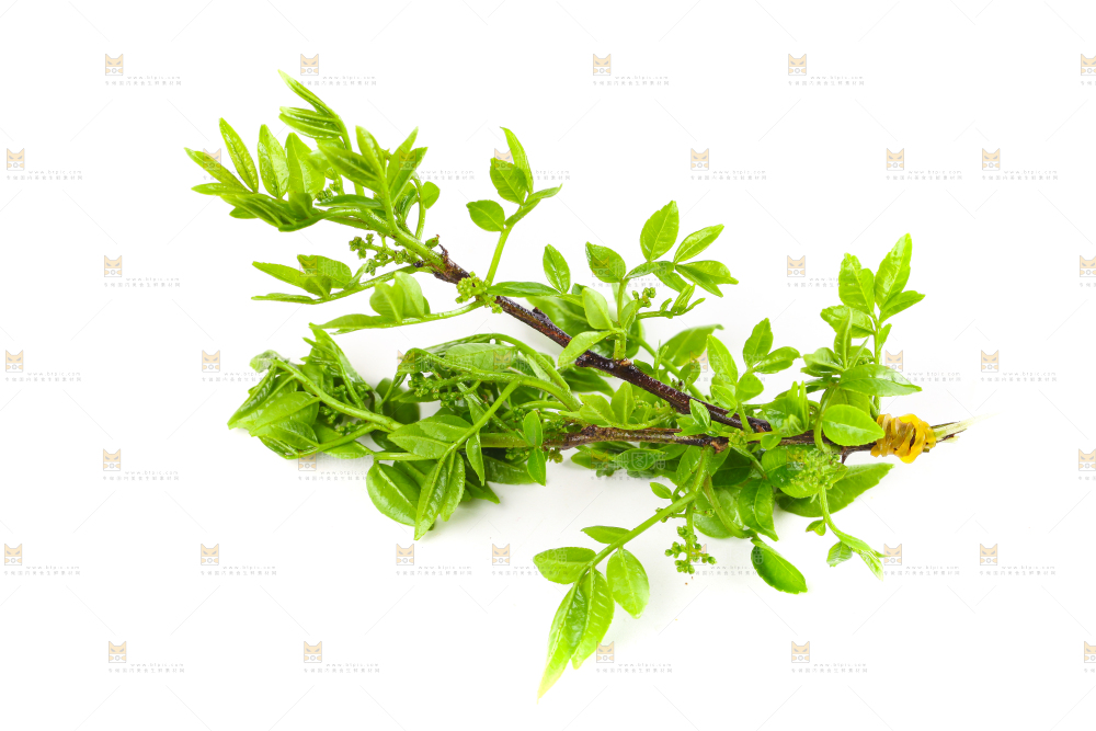 白底上放着花椒芽