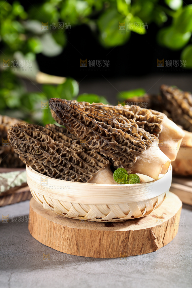 石板上放着一筐云南羊肚菌
