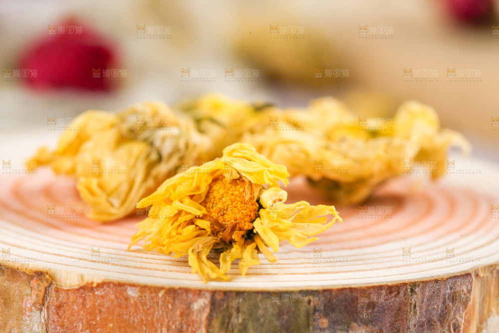 木底上放着金丝皇菊