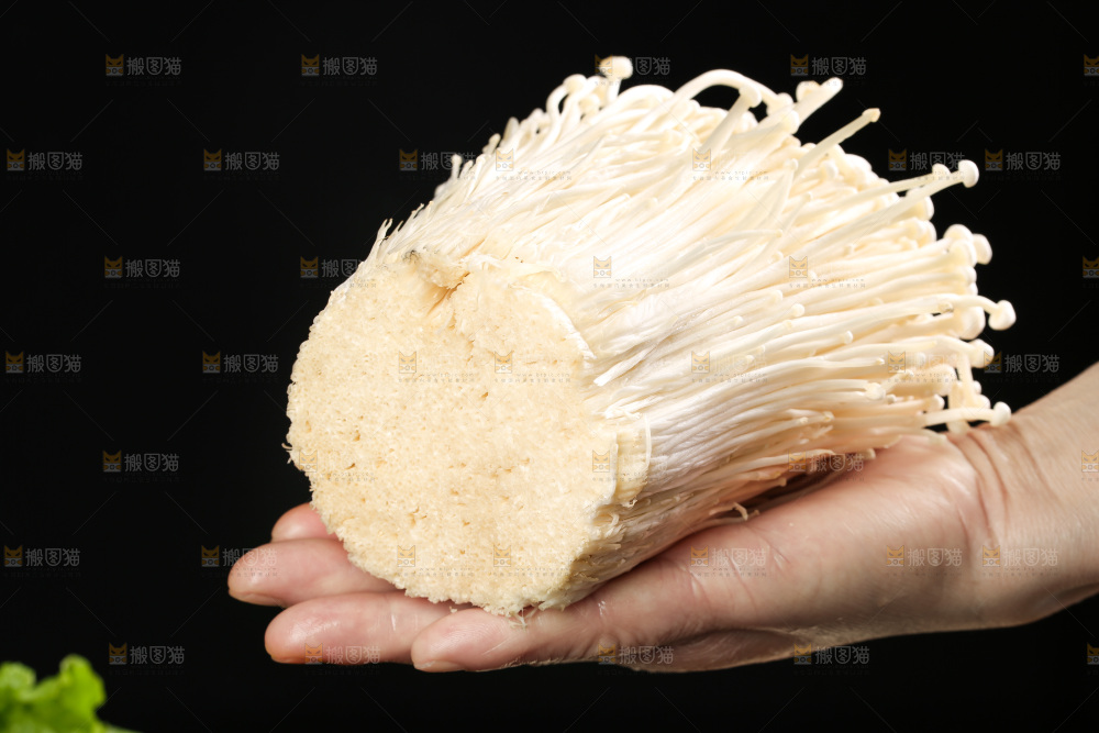 手拿新鲜金针菇