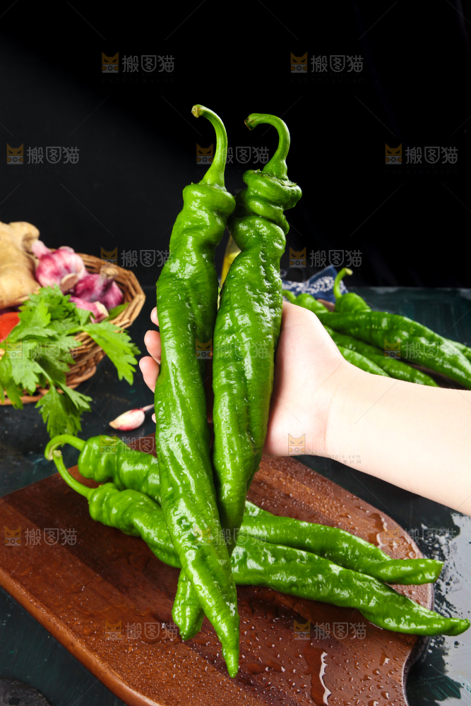 手里拿着新鲜螺丝椒