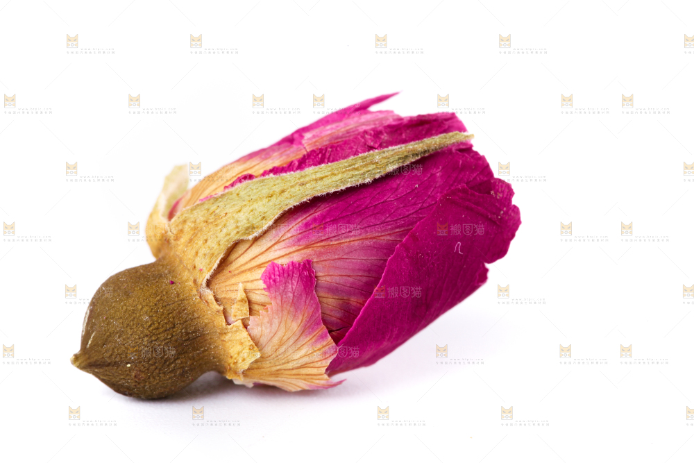 白底上放着云南金边干玫瑰花