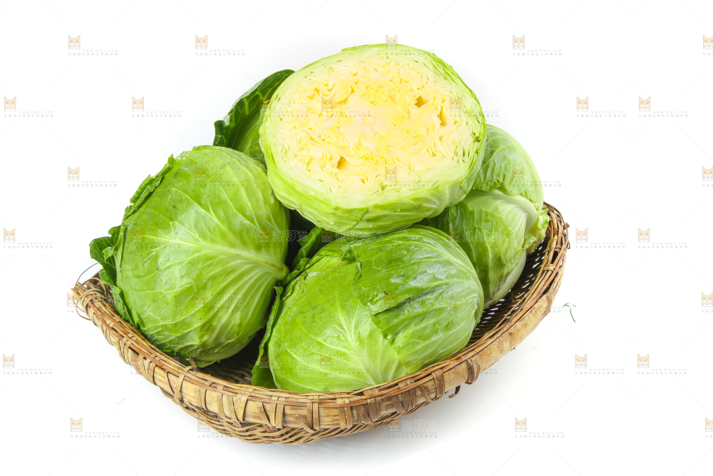 一筐新鲜包心菜放在白底上