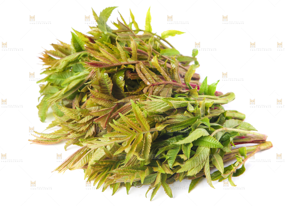 一堆香椿子堆在白底上