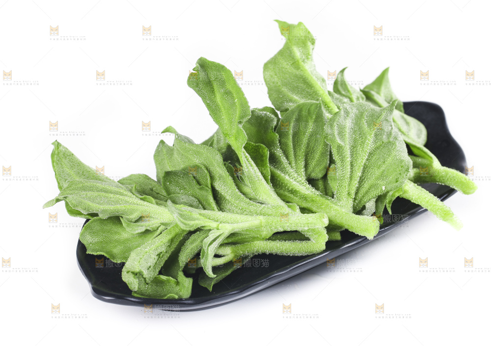 一盘冰草放在白底上