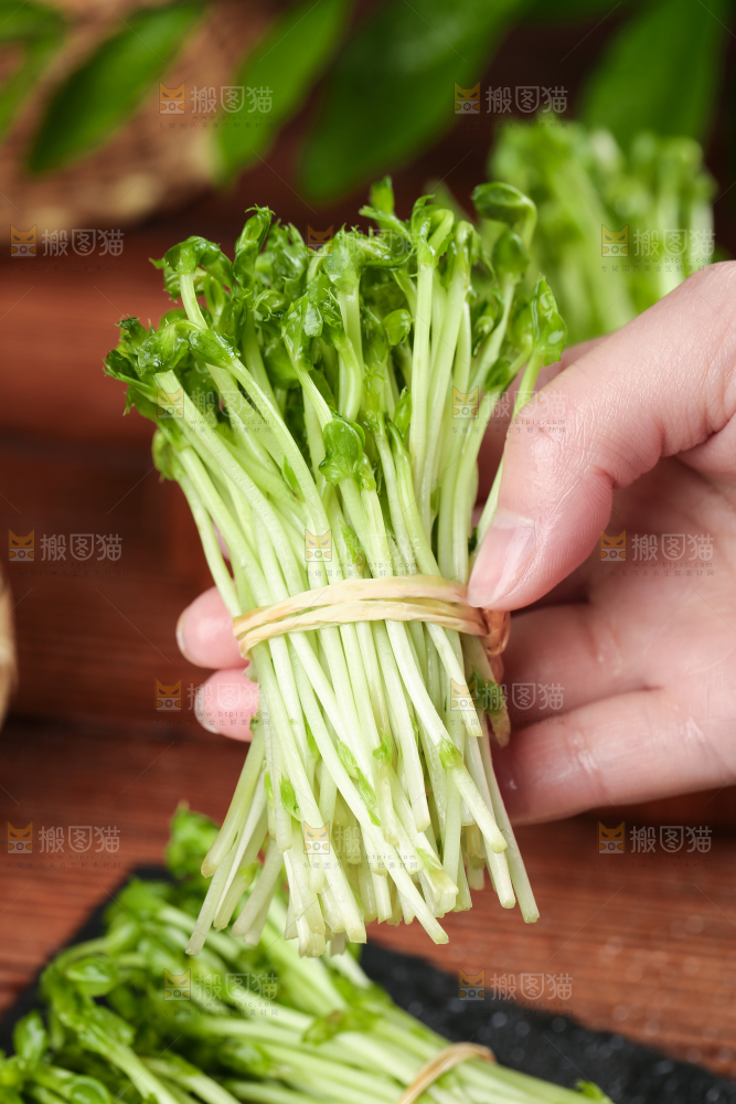 手里拿着新鲜豌豆苗