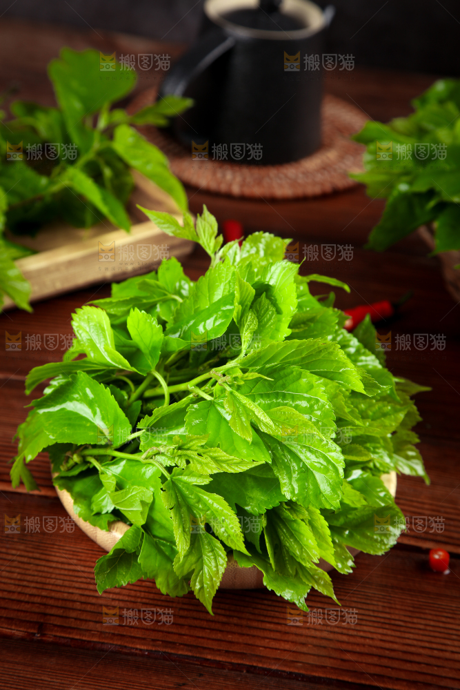 木底上放着一筐桑葚叶
