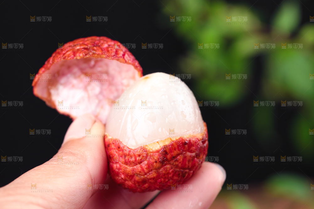 手拿剥皮的新鲜荔枝