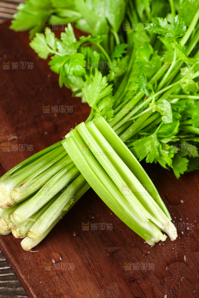 深底上的新鲜小香芹