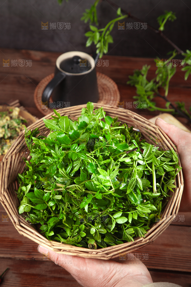 手拿一筐花椒芽