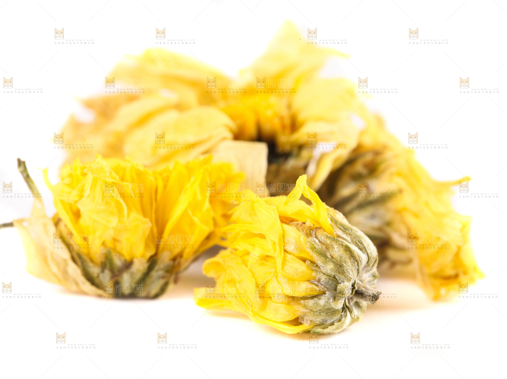 白底上的干菊花