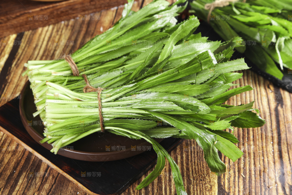 木底上的云南大香菜