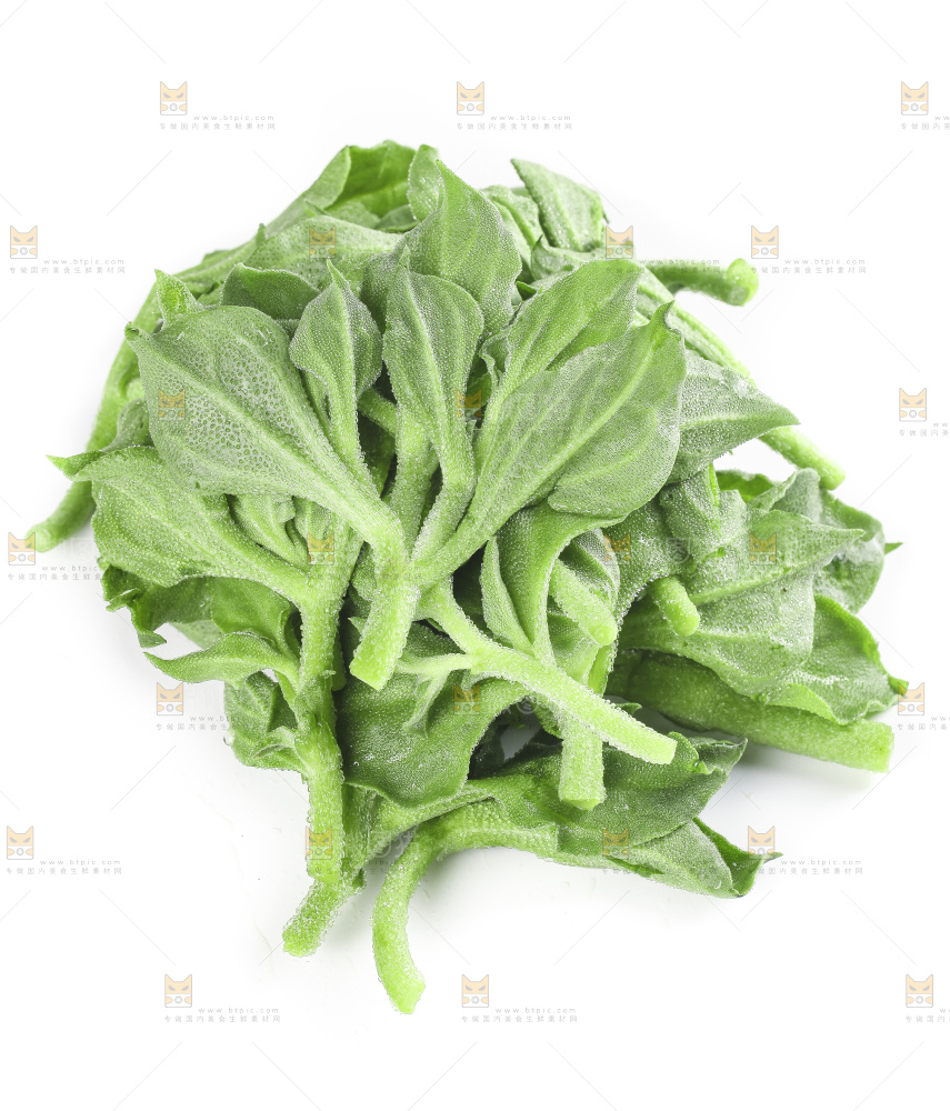白底上的冰草