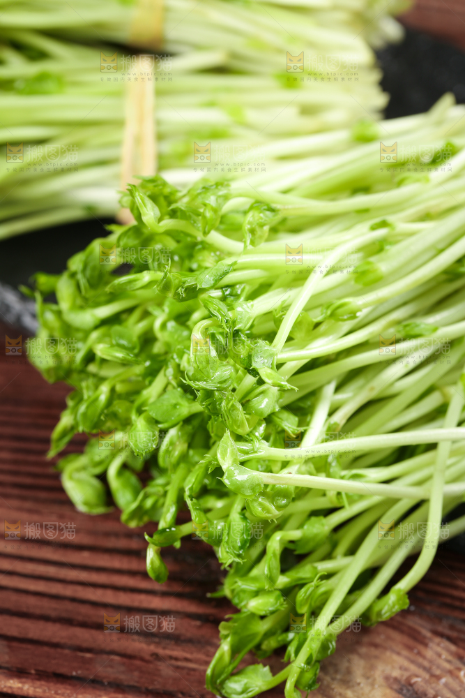黑石板上的豌豆芽苗菜