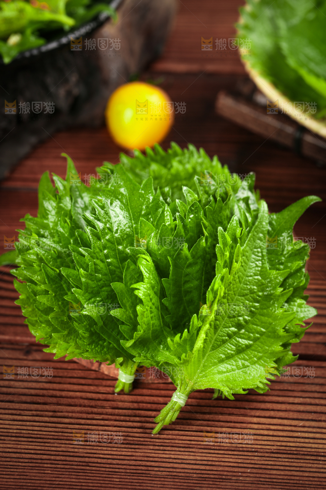 木板上的青紫苏叶