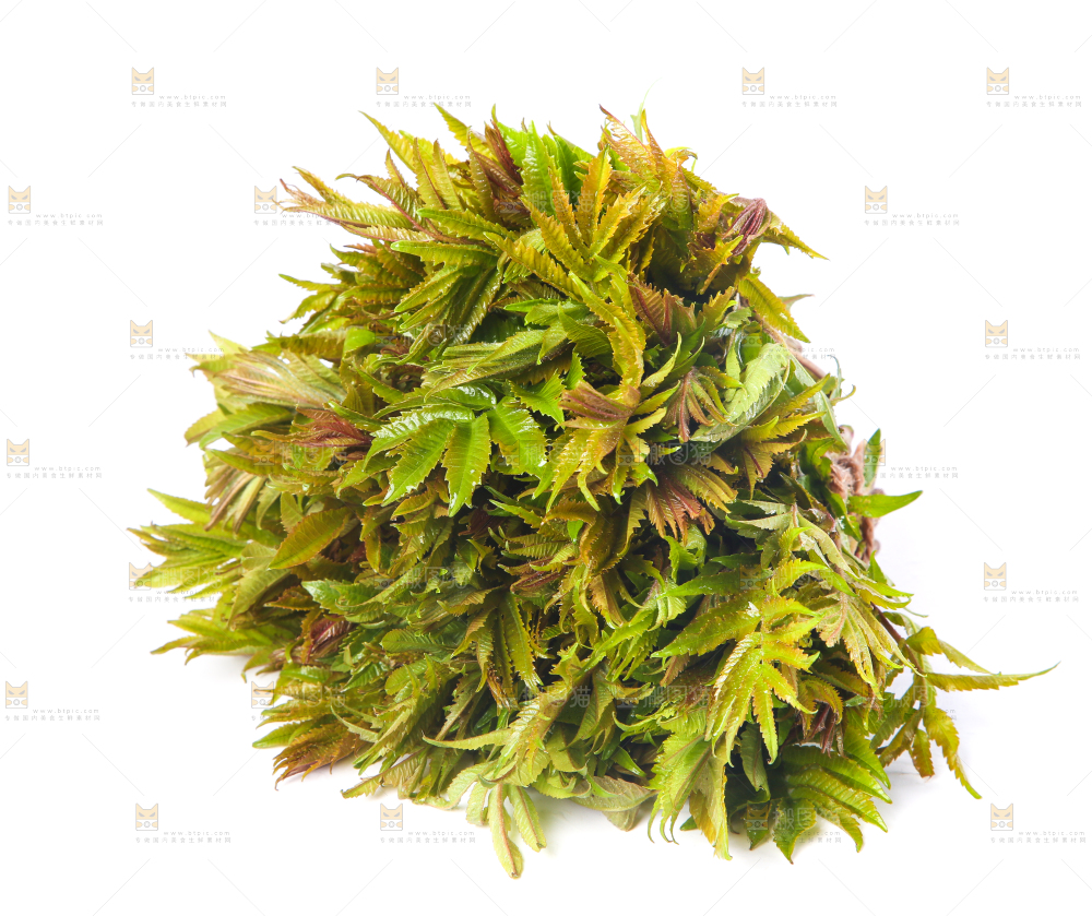 白底上放着野生香椿芽