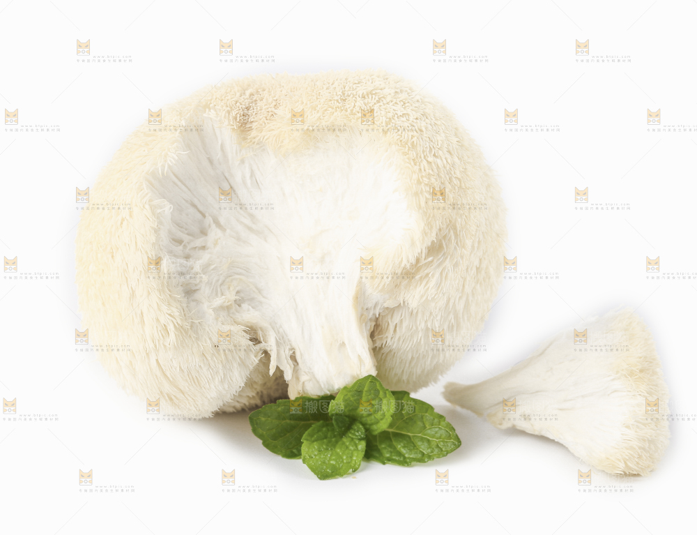 白底上的长白山猴头菇