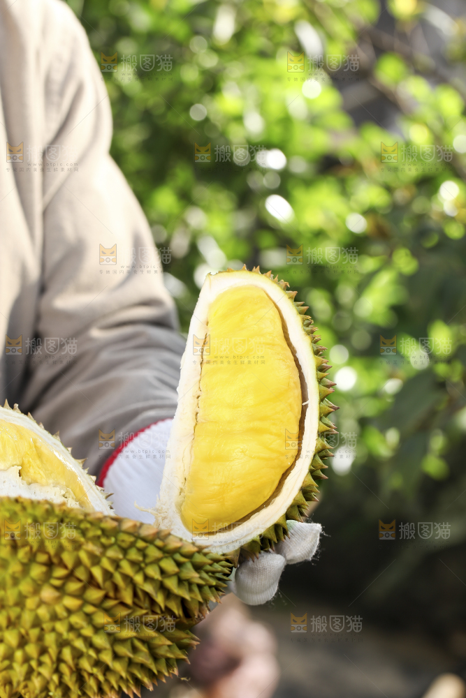 手里拿着新鲜榴莲